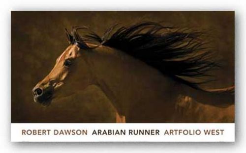 Arabian Runner by Robert Dawson