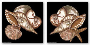 Designer Shells Set by Debbie Dewitt