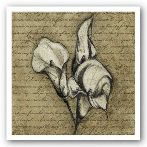 Calla Lily Letters I by Kristin Emery
