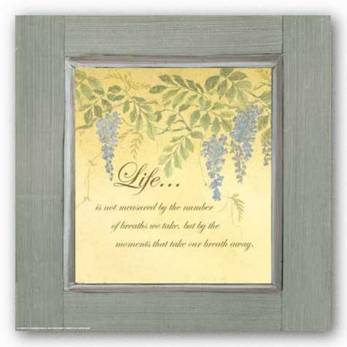 Wisteria: Life is not measured by Martha-Denise