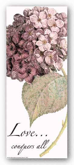 Words To Live By - Pink Hydrangea: Love by Marilu Windvand