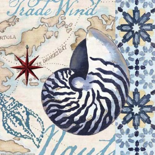 Trade Wind Nautilus by Jennifer Brinley