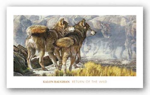 Return of the Wild by Kalon Baughan