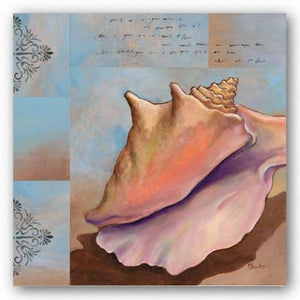 Sanibel Conch by Paul Brent