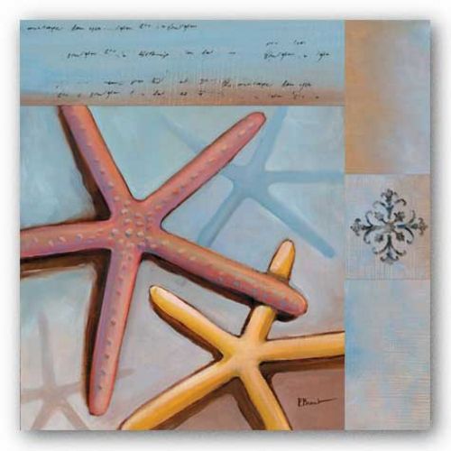 Sanibel Starfish by Paul Brent
