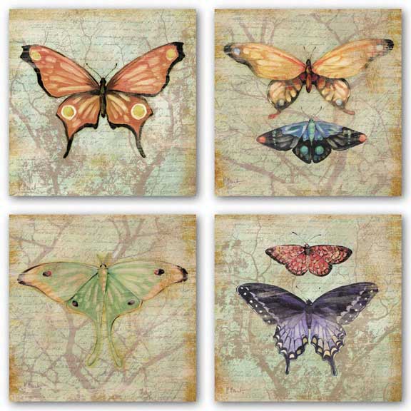 Vintage Butterflies Set by Paul Brent