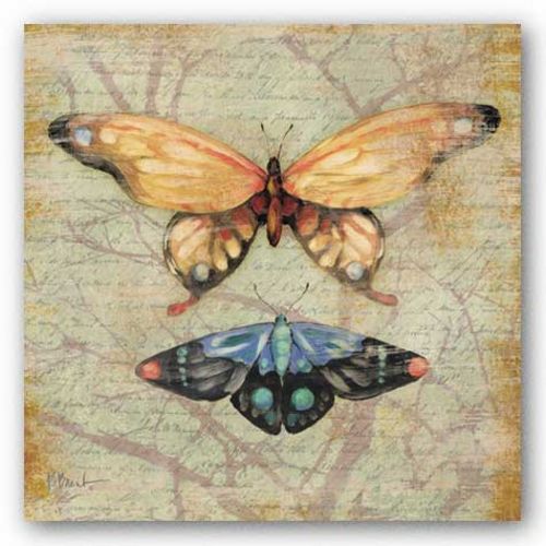 Vintage Butterflies II by Paul Brent