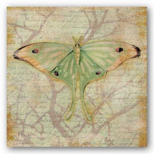 Vintage Butterflies III by Paul Brent