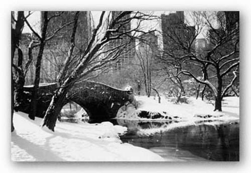 Central Park / Bridge by Igor Maloratsky