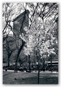 Flatiron, Spring by Igor Maloratsky