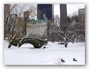 Love Bridge in Central Park, Winter by Igor Maloratsky