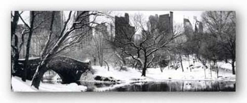 Love Bridge in Central Park, Winter Panorama by Igor Maloratsky