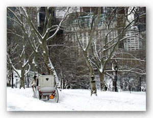 Carriage Snow, Central Park by Igor Maloratsky