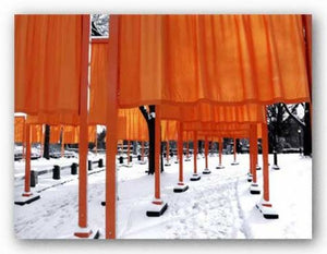 Looking Through the Gates, Central Park by Igor Maloratsky