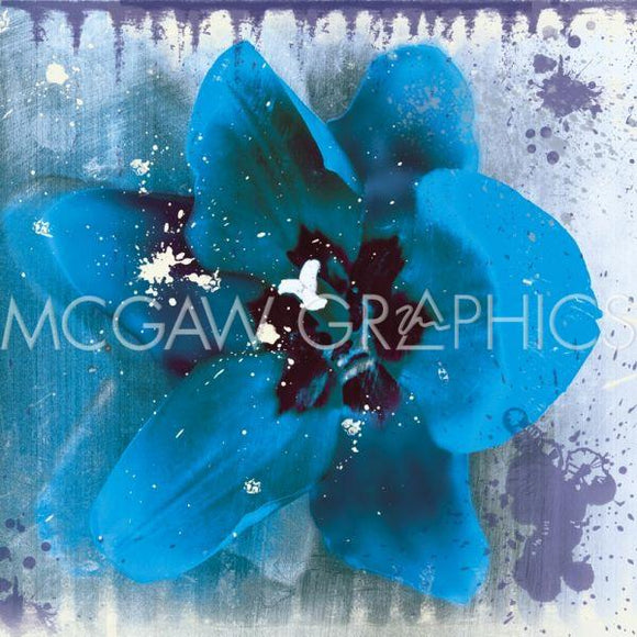 Tulip Fresco (blue) by Erin Clark