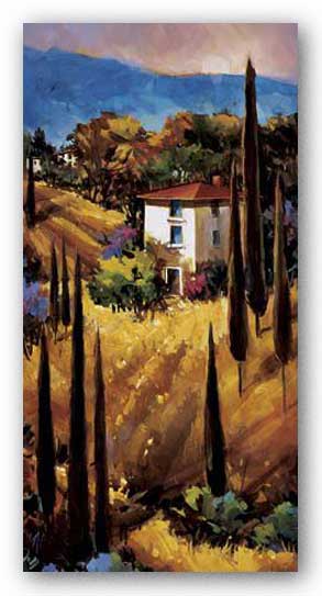 Hills of Tuscany by Nancy O'Toole