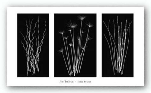 Three Wishes by Jim Wehtje