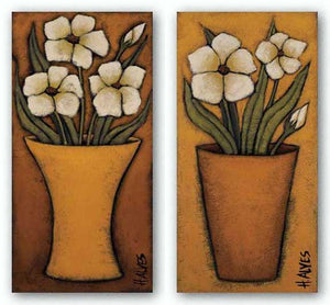 Flores Brancas Set by H. Alves