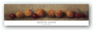 Apricots and Cherries by Judith Levin