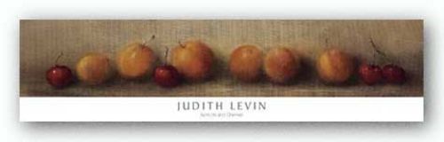 Apricots and Cherries by Judith Levin