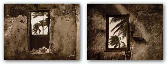 Palm View Set by C.J. Groth