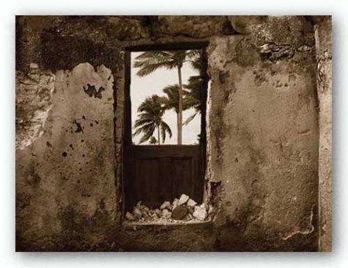 Palm View I by C.J. Groth