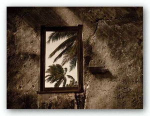 Palm View II by C.J. Groth