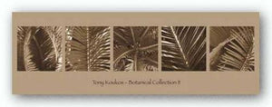 Botanical Collection II by Tony Koukos