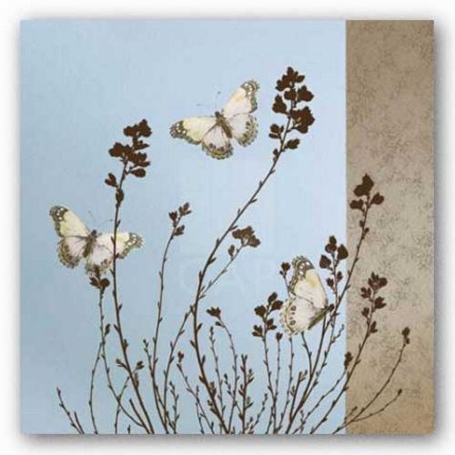 Butterflies by Caroline Gold