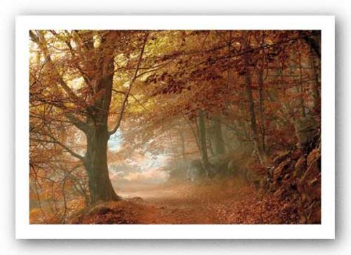 Autumn Dream by Toni Vila