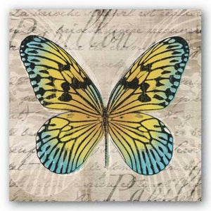 Butterflies I by Tandi Venter