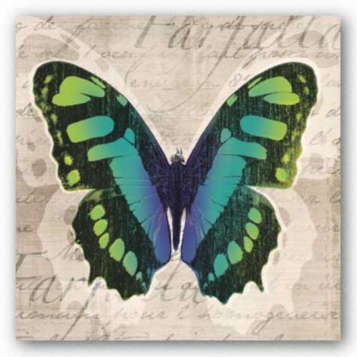 Butterflies II by Tandi Venter