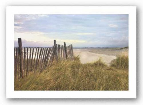 West Wittering Beach by Assaf Frank