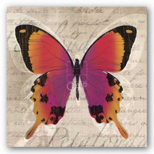 Butterflies III by Tandi Venter
