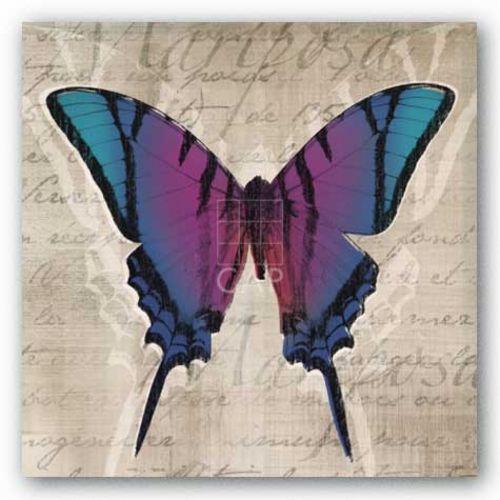 Butterflies IV by Tandi Venter