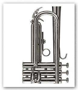 Trumpet by Michel Ditlove