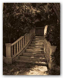 Garden Staircase by Alicia Soave