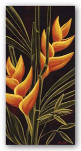 Heliconia by Yvette St. Amant