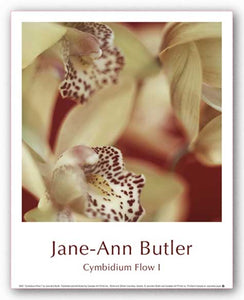 Cymbidium Flow I by Jane-Ann Butler