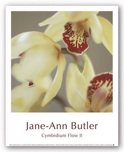 Cymbidium Flow II by Jane-Ann Butler