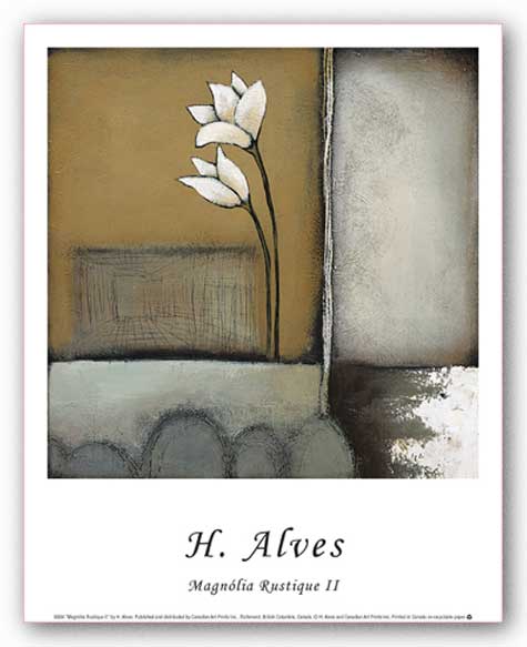 Magnolia Rustique II by H. Alves