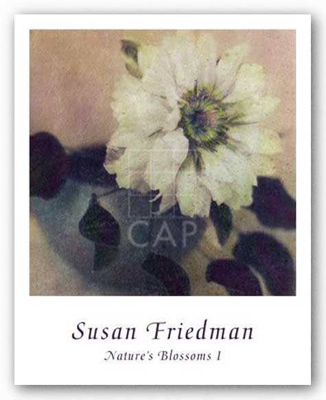 Nature's Blossoms I by Susan Friedman