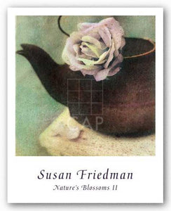 Nature's Blossoms II by Susan Friedman