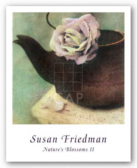 Nature's Blossoms II by Susan Friedman