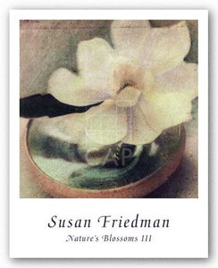 Nature's Blossoms III by Susan Friedman