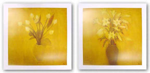 Lily Mist and Tulip Mist Set by Nguyen Van Duc