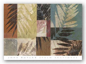 Palm Sections by John Butler