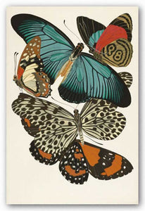 Collection II (Butterflies) by Winter Works