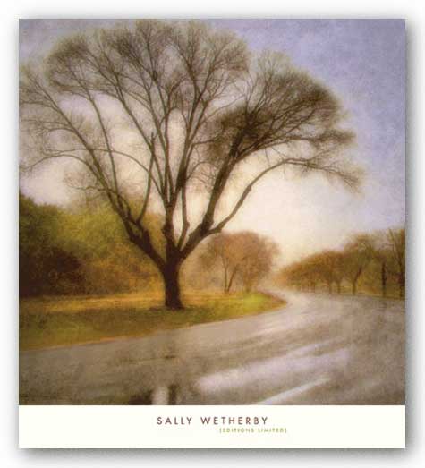 Autumn Road by Sally Wetherby