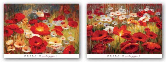 Meadow Poppies Set by Lucas Santini